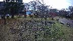 area1-20231114140015.jpg