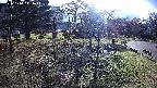 area1-20231114141014.jpg