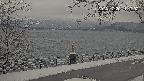 area1-20231220111005.jpg
