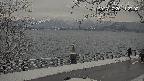area1-20231220112002.jpg