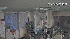 area1-20240105072003.jpg
