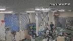 area1-20240105082003.jpg