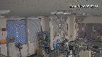 area1-20240109072002.jpg