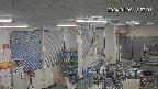 area1-20240109182003.jpg