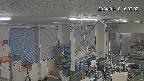 area1-20240110160004.jpg