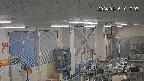 area1-20240116101004.jpg