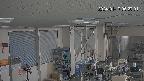 area1-20240117062002.jpg