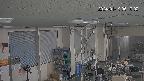 area1-20240119061002.jpg
