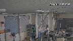 area1-20240119070003.jpg