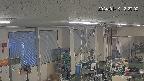 area1-20240119132003.jpg