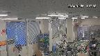 area1-20240125110003.jpg