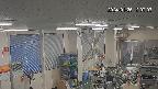 area1-20240125120003.jpg