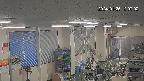 area1-20240126120003.jpg