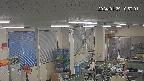 area1-20240129105002.jpg