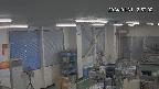 area1-20240131135003.jpg