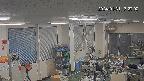 area1-20240131172003.jpg