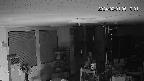 area1-20240201051003.jpg
