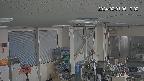area1-20240201061002.jpg