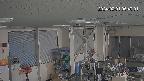 area1-20240201064003.jpg