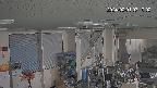 area1-20240201071003.jpg