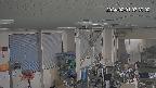 area1-20240201073003.jpg