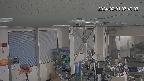 area1-20240201074004.jpg