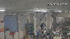 area1-20240201160003.jpg