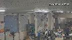 area1-20240201162002.jpg