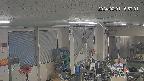 area1-20240201165003.jpg