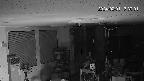 area1-20240201173002.jpg