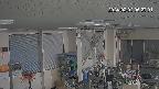 area1-20240202062002.jpg