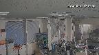 area1-20240202072003.jpg