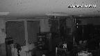 area1-20240203052003.jpg