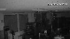 area1-20240204062002.jpg