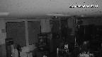 area1-20240205052002.jpg