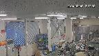 area1-20240205130002.jpg