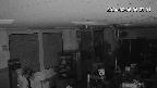 area1-20240206052003.jpg