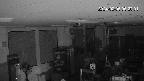 area1-20240206062003.jpg