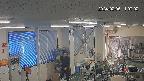 area1-20240206110003.jpg