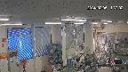 area1-20240206113002.jpg