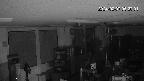 area1-20240207052002.jpg