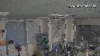 area1-20240207063003.jpg