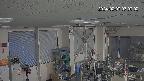 area1-20240207070003.jpg