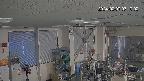 area1-20240207071002.jpg