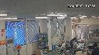 area1-20240207114002.jpg