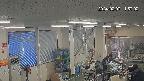 area1-20240207115003.jpg