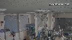 area1-20240208061002.jpg