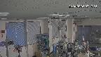 area1-20240208071002.jpg