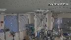 area1-20240208072002.jpg