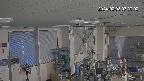 area1-20240208073003.jpg